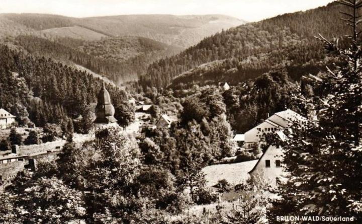 Die Hammerhuette Willingen  Exterior foto